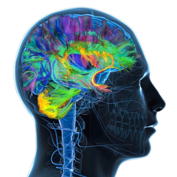 NeuralLead Logo
