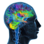 Documentation NeuralLead